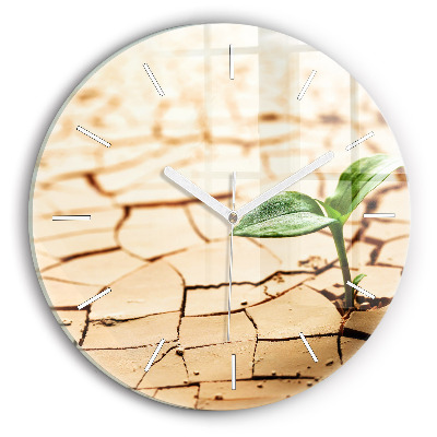 Round glass wall clock Plant in dry soil