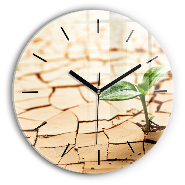 Round glass wall clock Plant in dry soil