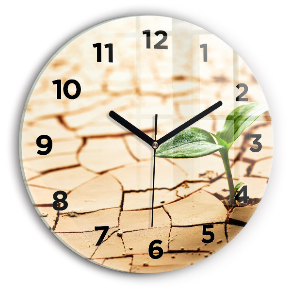Round glass wall clock Plant in dry soil