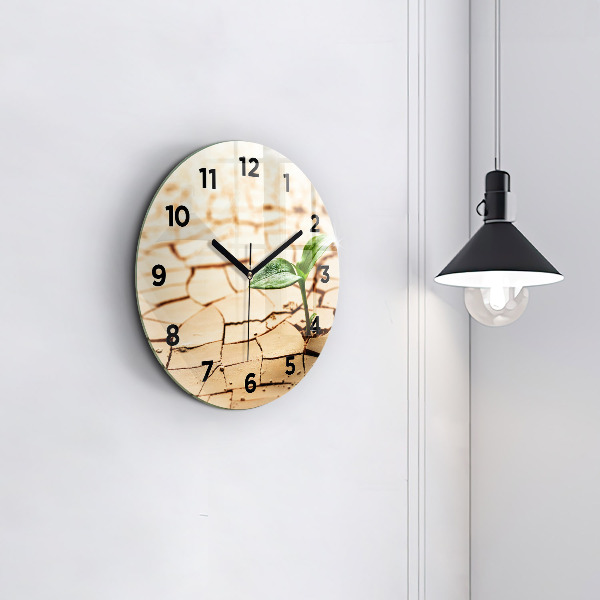 Round glass wall clock Plant in dry soil