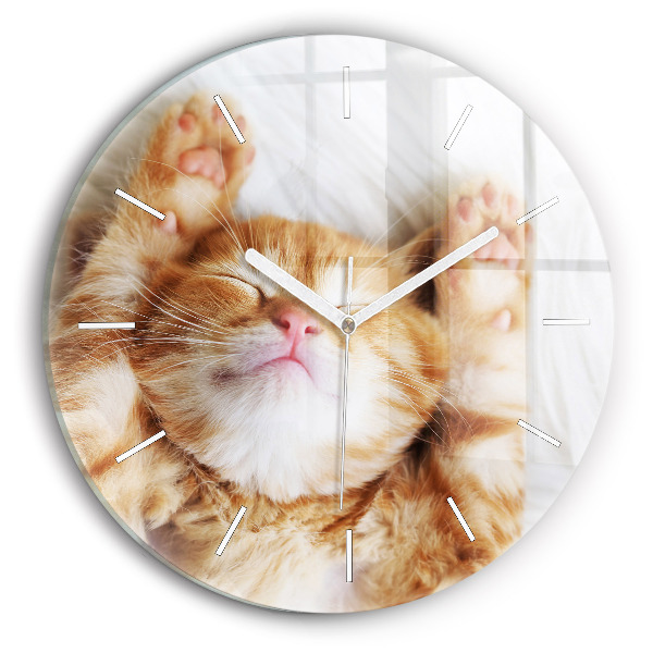 Round glass wall clock Sleeping little kitten
