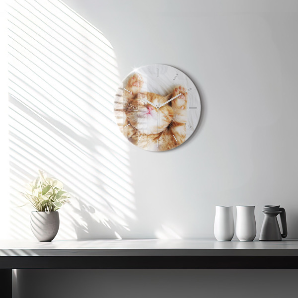Round glass wall clock Sleeping little kitten
