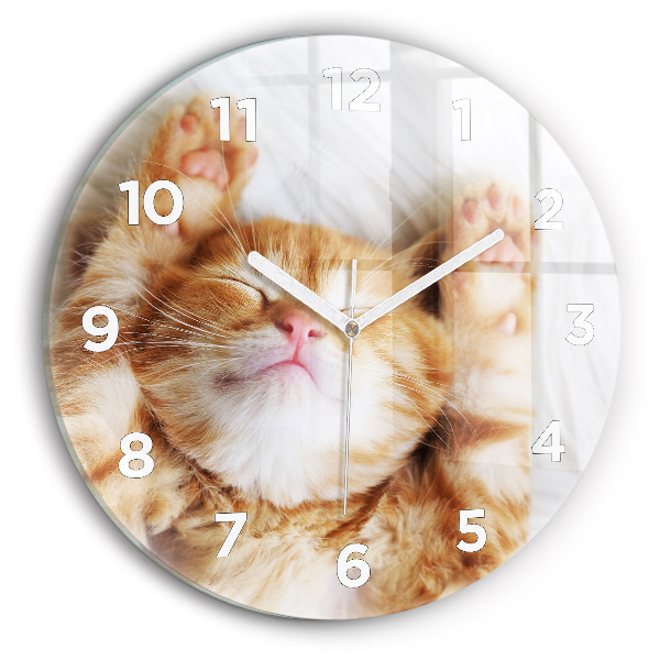 Round glass wall clock Sleeping little kitten