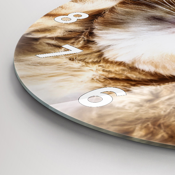 Round glass wall clock Sleeping little kitten