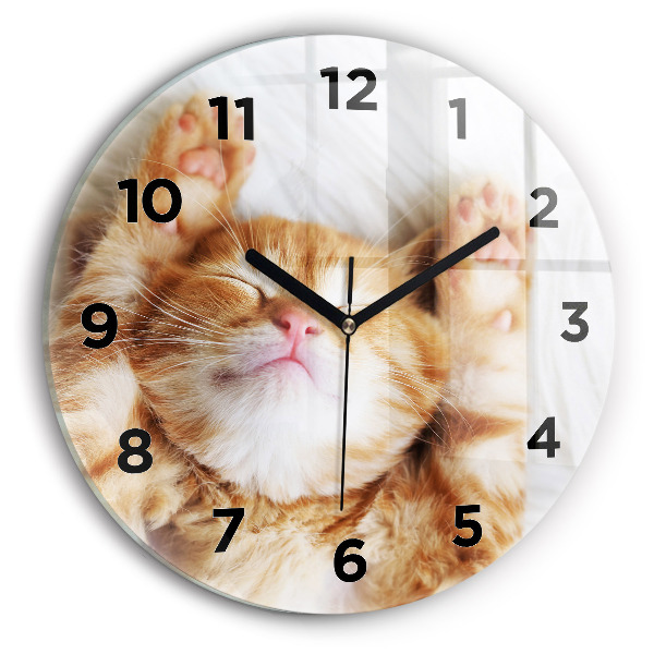 Round glass wall clock Sleeping little kitten