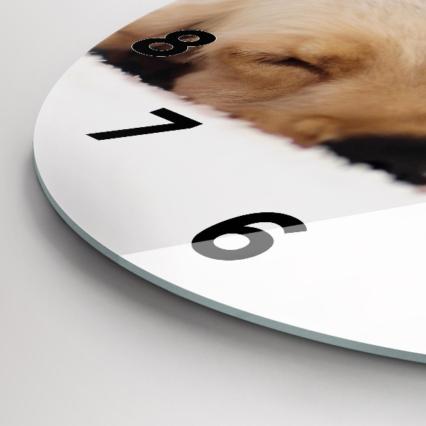 Round glass wall clock Sleeping cat and dog