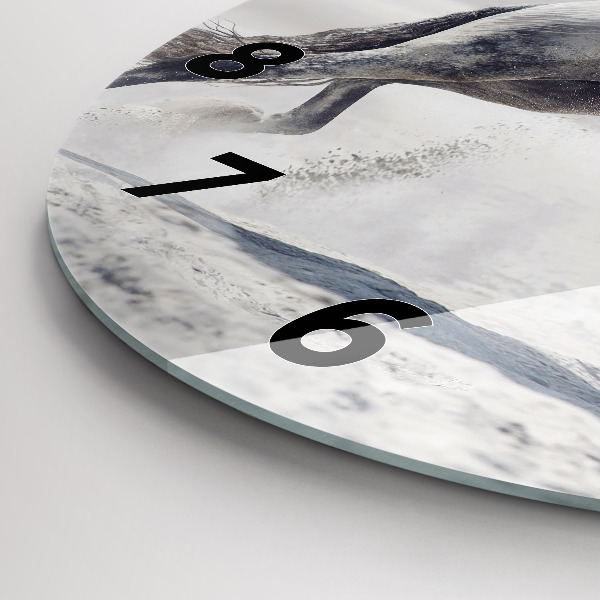 Round glass wall clock Galloping white horse