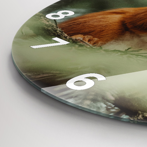 Round glass wall clock Squirrel and wild nature