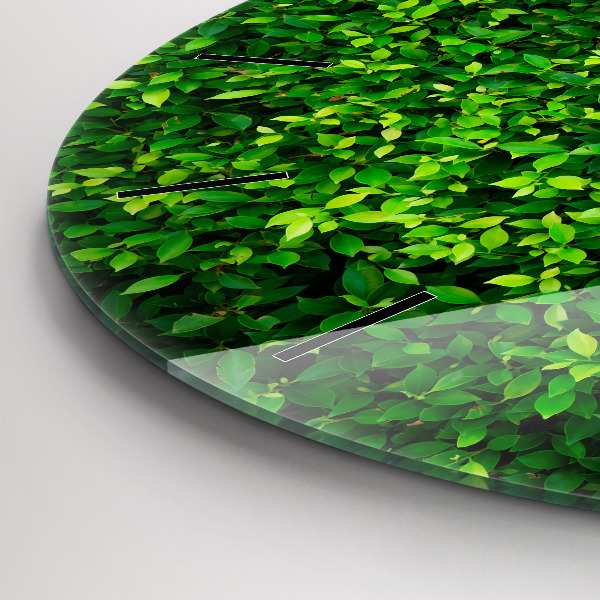 Round glass wall clock Hedge leaves
