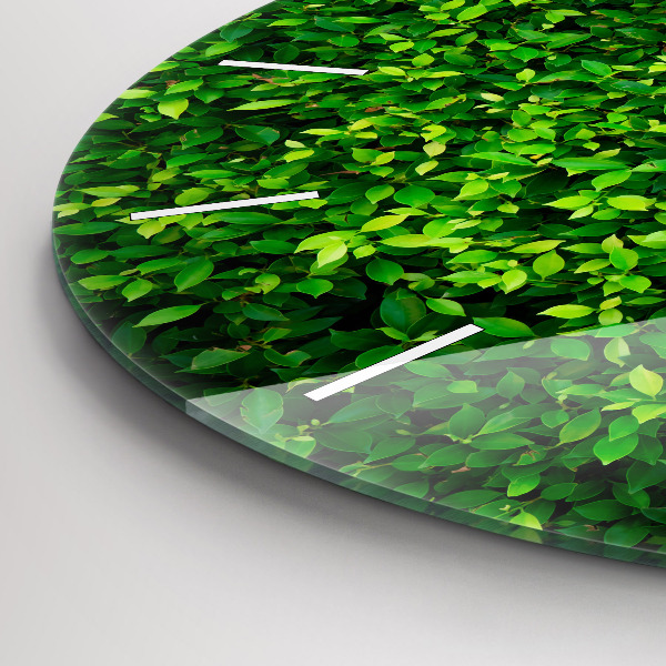 Round glass wall clock Hedge leaves