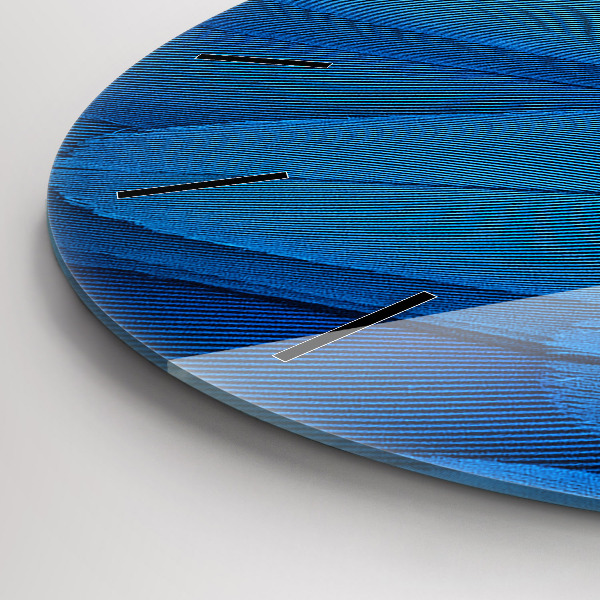 Round glass wall clock Bird feather