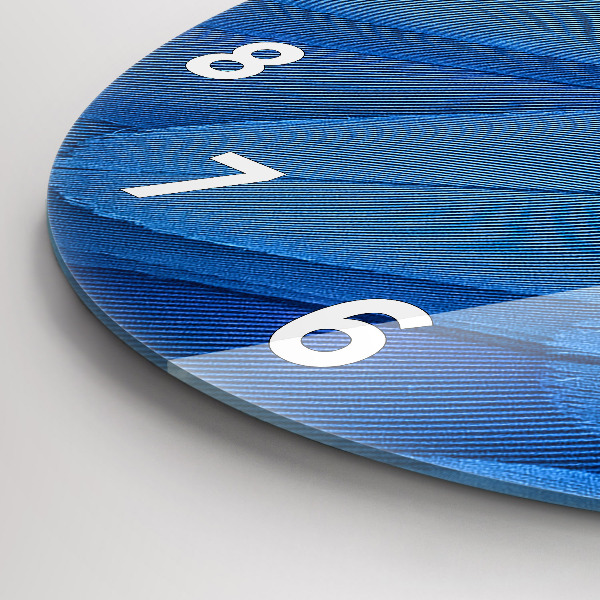 Round glass wall clock Bird feather