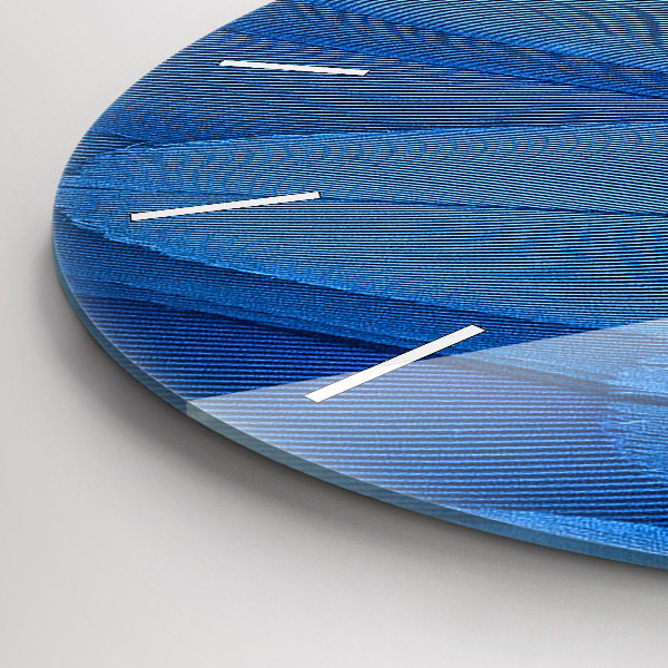 Round glass wall clock Bird feather