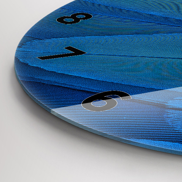 Round glass wall clock Bird feather