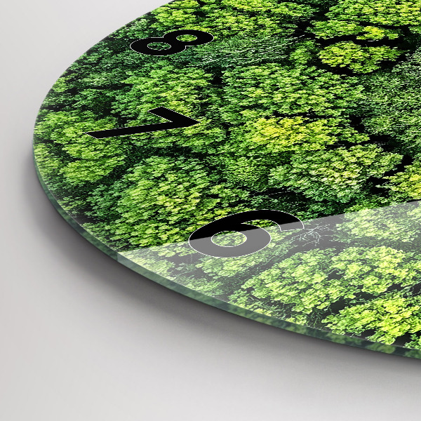 Round glass wall clock Forest from above